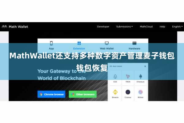 MathWallet还支持多种数字资产管理麦子钱包钱包恢复